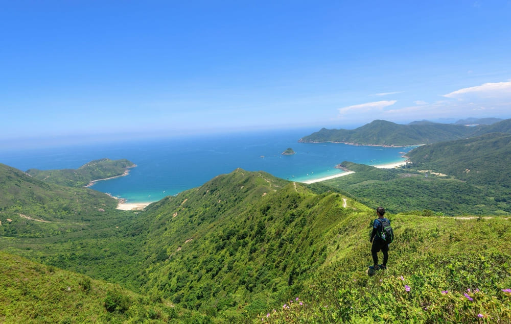 Hai Van Pass is one of Vietnam’s most scenic coastal roads, famous for its thrilling curves and panoramic ocean views (Source: Freepik)